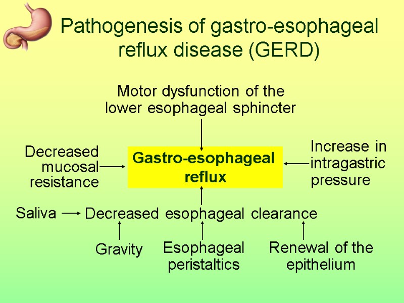 Pathogenesis of gastro-esophageal  reflux disease (GERD) Motor dysfunction of the lower esophageal sphincter